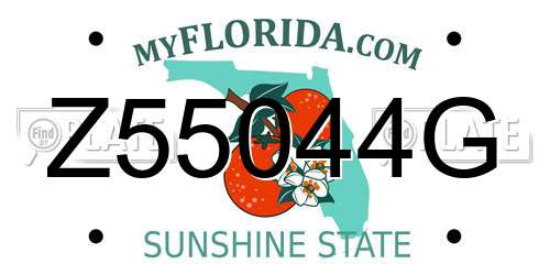 Z55044G Florida License Plate