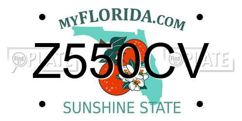 Z550CV Florida License Plate