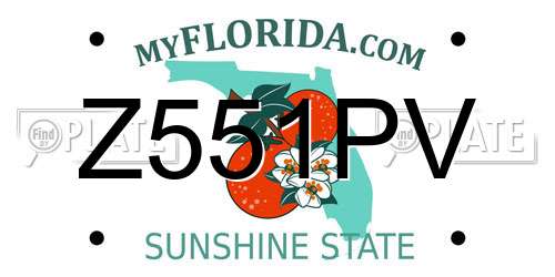Z551PV Florida License Plate