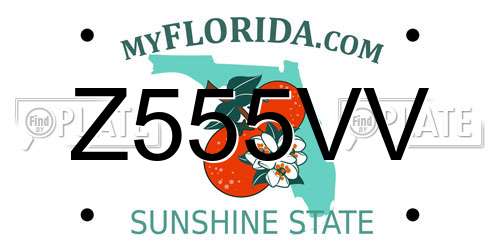 Z555VV Florida License Plate