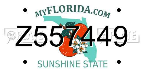 Z557449 Florida License Plate