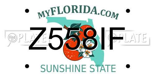 Z558IF Florida License Plate