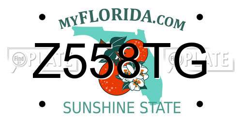 Z558TG Florida License Plate