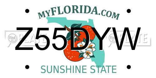 Z55DYW Florida License Plate