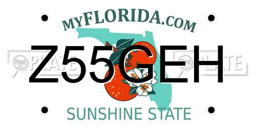Z55GEH Florida License Plate