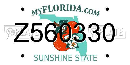 Z560330 Florida License Plate