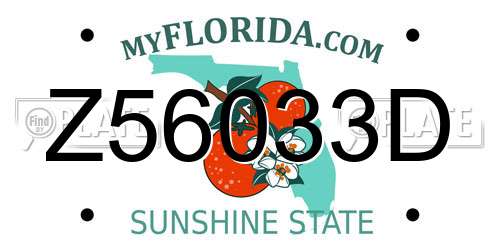 Z56033D Florida License Plate