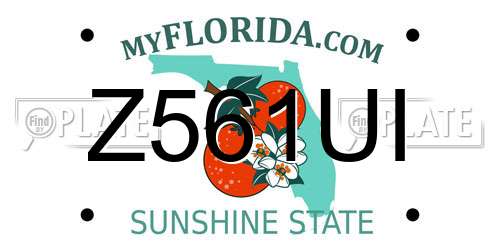 Z561UI Florida License Plate