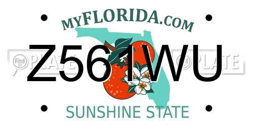 Z561WU Florida License Plate