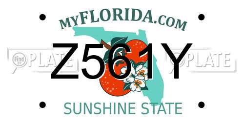 Z561Y Florida License Plate
