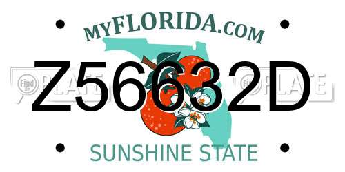 Z56632D Florida License Plate