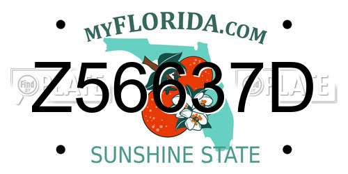 Z56637D Florida License Plate