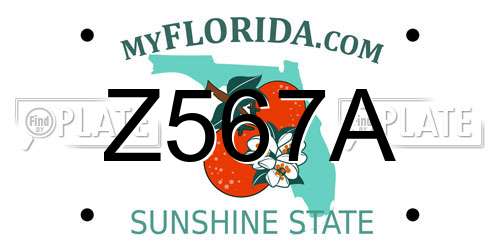 Z567A Florida License Plate