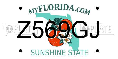Z569GJ Florida License Plate
