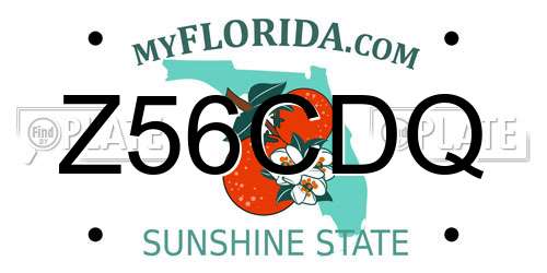 Z56CDQ Florida License Plate