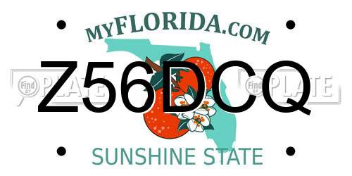 Z56DCQ Florida License Plate