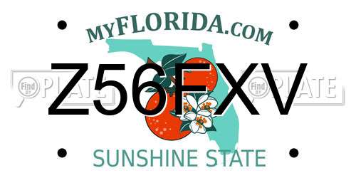 Z56FXV Florida License Plate