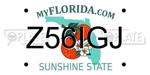Z56IGJ Florida License Plate