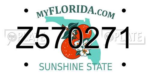 Z570271 Florida License Plate