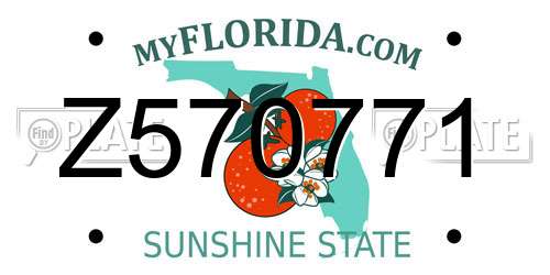 Z570771 Florida License Plate
