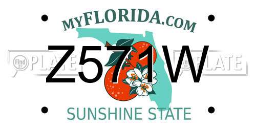 Z571W Florida License Plate