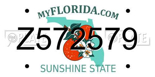 Z572579 Florida License Plate