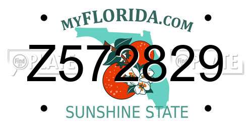 Z572829 Florida License Plate