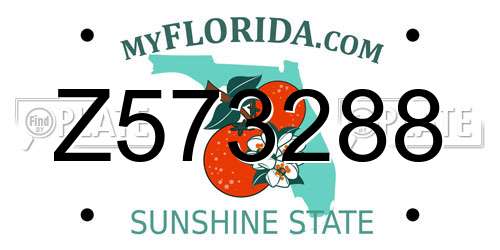 Z573288 Florida License Plate