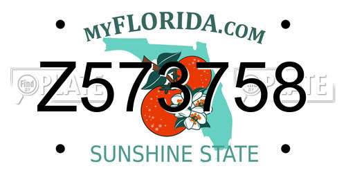 Z573758 Florida License Plate