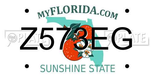 Z573EG Florida License Plate
