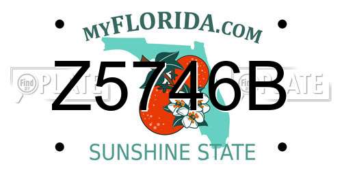 Z5746B Florida License Plate