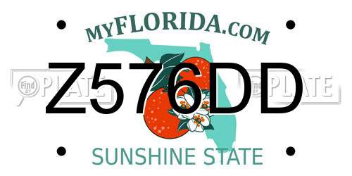 Z576DD Florida License Plate