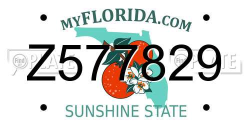 Z577829 Florida License Plate