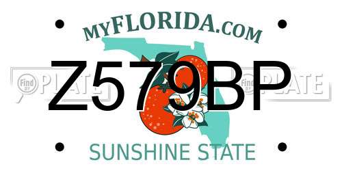 Z579BP Florida License Plate
