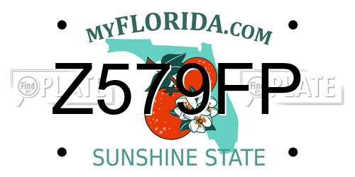Z579FP Florida License Plate