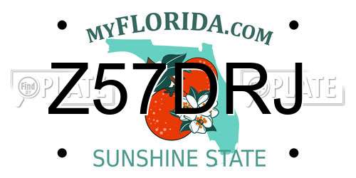 Z57DRJ Florida License Plate
