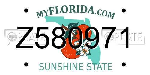 Z580971 Florida License Plate