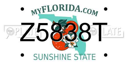 Z5838T Florida License Plate