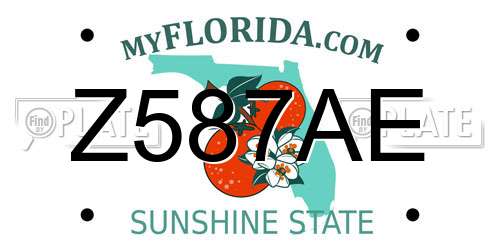 Z587AE Florida License Plate