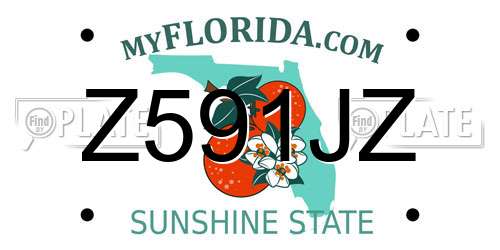 Z591JZ Florida License Plate