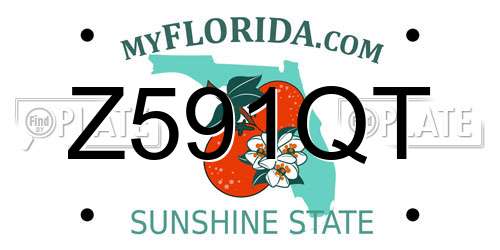 Z591QT Florida License Plate