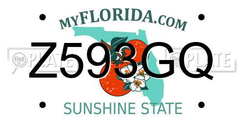Z593GQ Florida License Plate