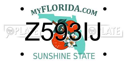 Z593IJ Florida License Plate