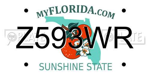 Z593WR Florida License Plate