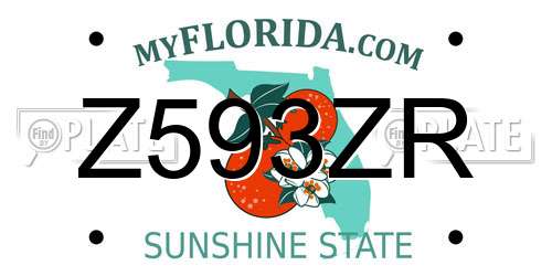 Z593ZR Florida License Plate