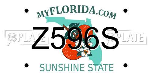Z596S Florida License Plate