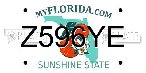 Z596YE Florida License Plate