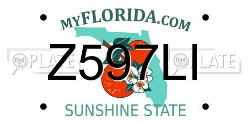 Z597LI Florida License Plate