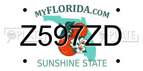 Z597ZD Florida License Plate