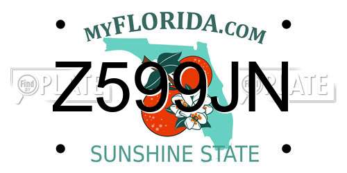 Z599JN Florida License Plate